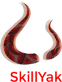 Skillyak Private Limited logo